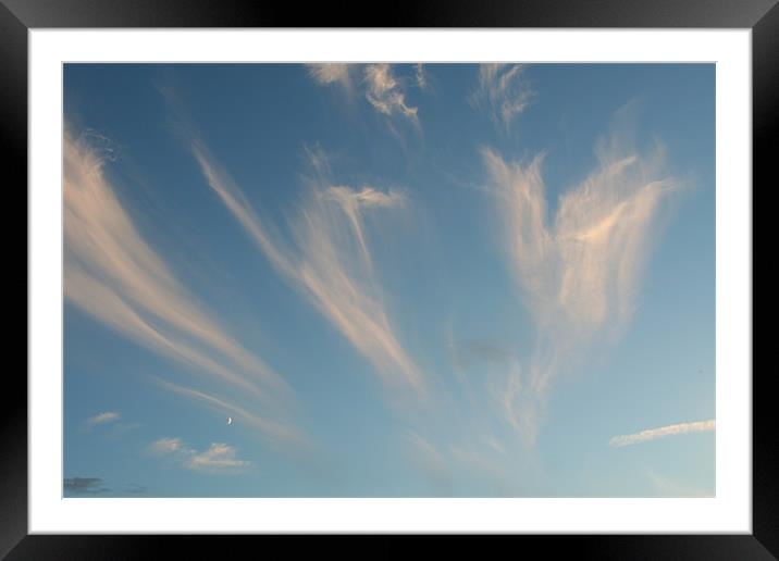 Sky feathers Framed Mounted Print by Dave Holt