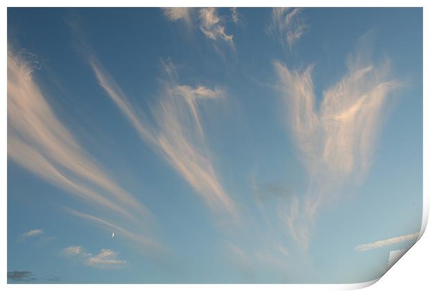 Sky feathers Print by Dave Holt