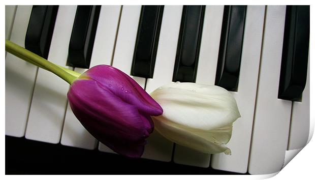 Tulips on Piano Keys Print by Sandra Buchanan