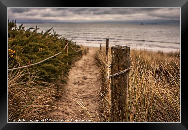 The Grass and the Sea Framed Print by stuart bennett