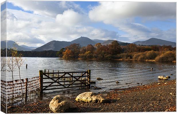 View across Derwentwater Canvas Print by Ian Duffield