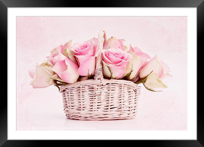 Rose Basket Framed Mounted Print by Ann Garrett