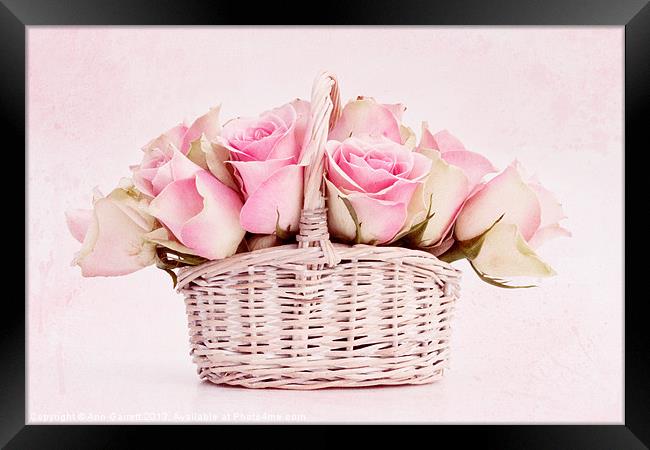 Rose Basket Framed Print by Ann Garrett