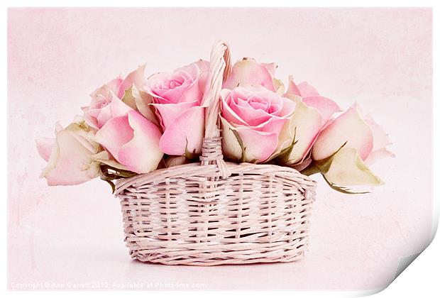 Rose Basket Print by Ann Garrett