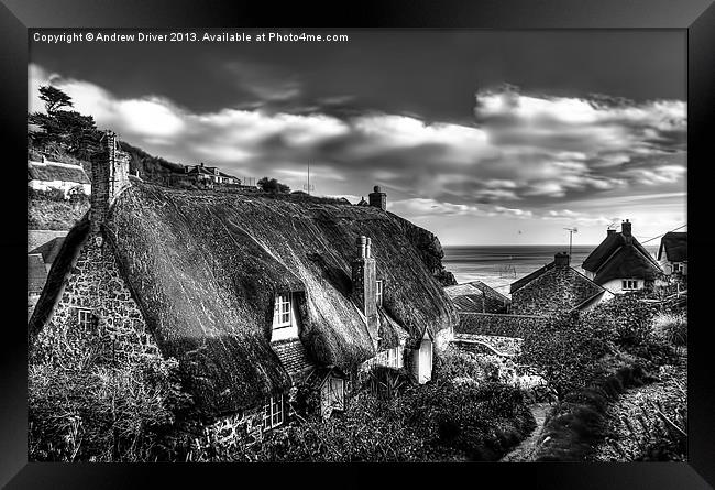Cadgwith Cottages Framed Print by Andrew Driver