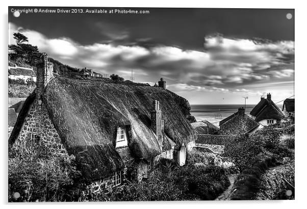 Cadgwith Cottages Acrylic by Andrew Driver