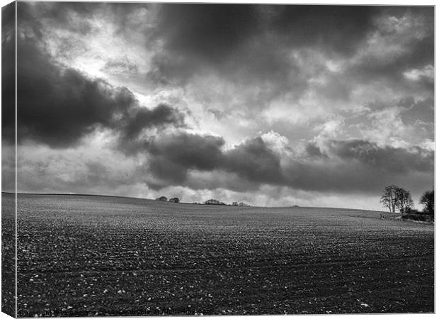 dutch skies Canvas Print by Jo Beerens