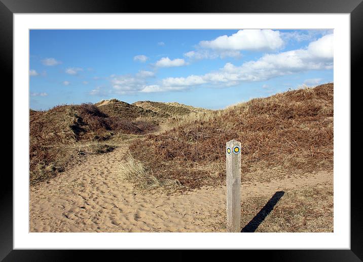 Wales Coast Path Framed Mounted Print by Dan Davidson