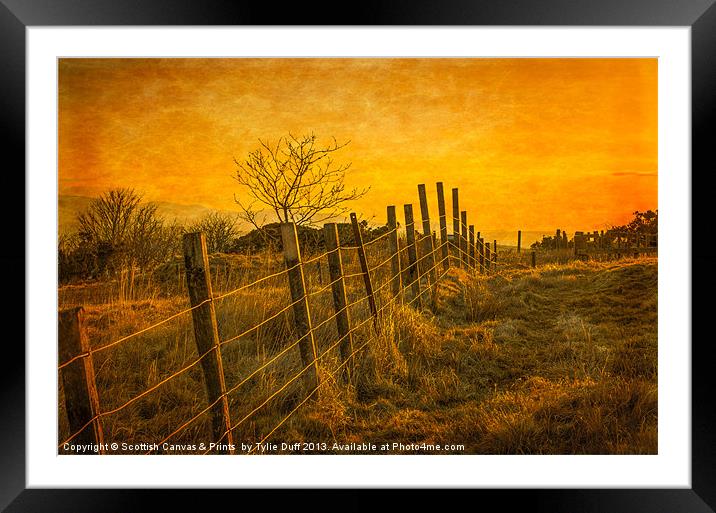 Winter Sunset , Douglas Park in  Largs Framed Mounted Print by Tylie Duff Photo Art