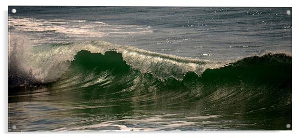 Wave Acrylic by barbara walsh