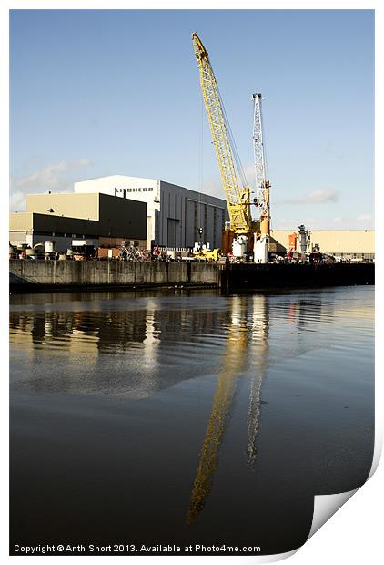 Cranes on the Wear Print by Anth Short