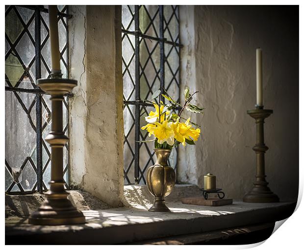 Flowers in the Window Print by Ian Johnston  LRPS
