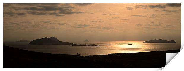 Blasket Islands Print by barbara walsh