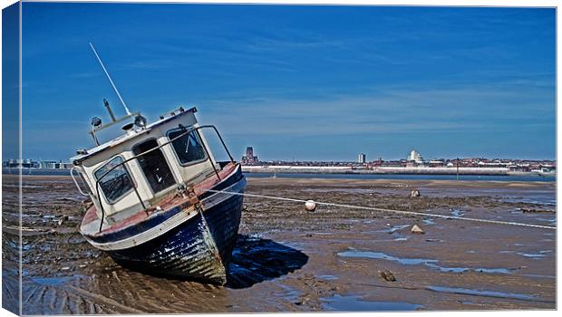 High and Dry! Canvas Print by James  Hare