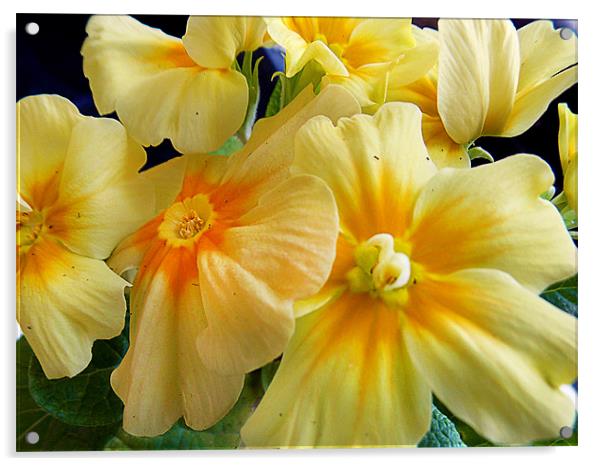1159-spring flower Acrylic by elvira ladocki