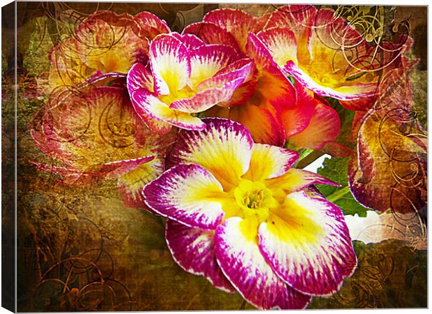 1163-beauty flowers Canvas Print by elvira ladocki