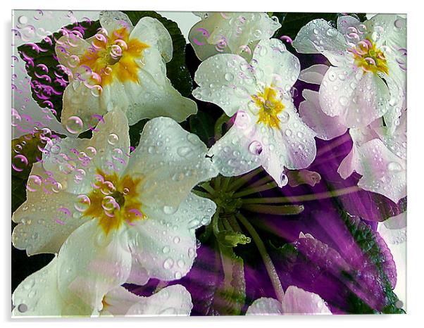 1165-beauty flower Acrylic by elvira ladocki