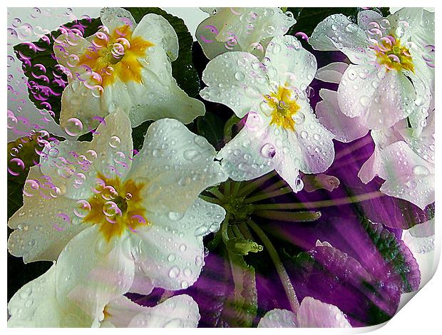 1165-beauty flower Print by elvira ladocki