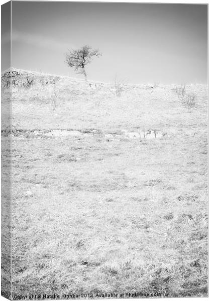 Little Tree on the Hill - Black and White Canvas Print by Natalie Kinnear