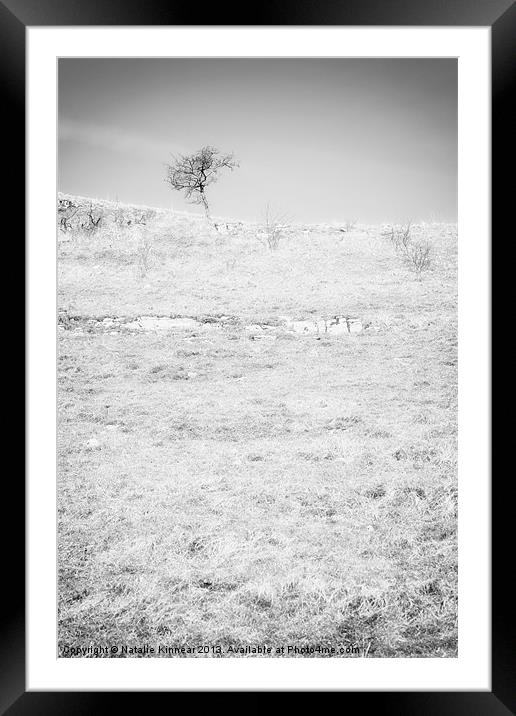 Little Tree on the Hill - Black and White Framed Mounted Print by Natalie Kinnear