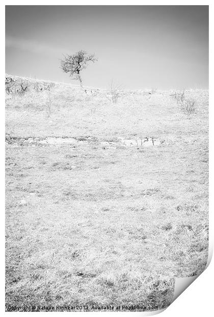 Little Tree on the Hill - Black and White Print by Natalie Kinnear
