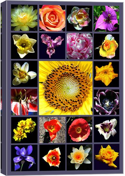 Floral Composite Canvas Print by james balzano, jr.