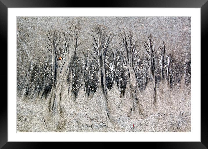 The Forest at Low Tide Framed Mounted Print by james balzano, jr.
