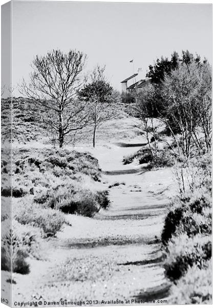 Path To The Coastguard Cottages Canvas Print by Darren Burroughs