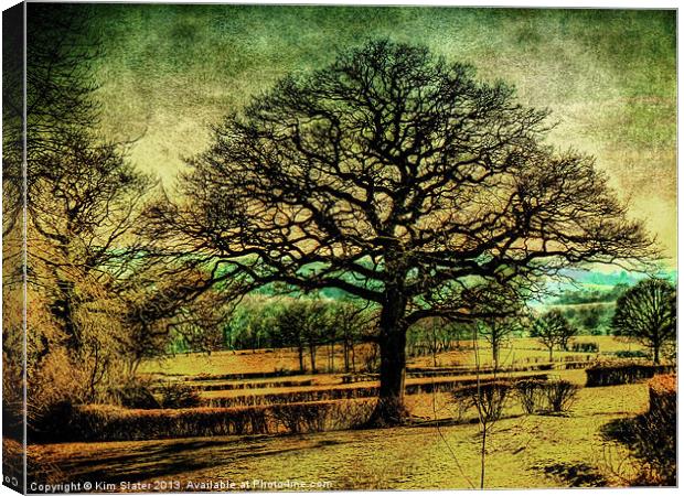 The Old Tree Canvas Print by Kim Slater