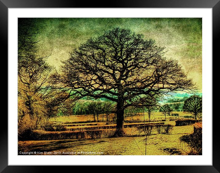 The Old Tree Framed Mounted Print by Kim Slater