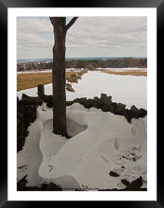 Shady Snow Drift Framed Mounted Print by Sam Jowett
