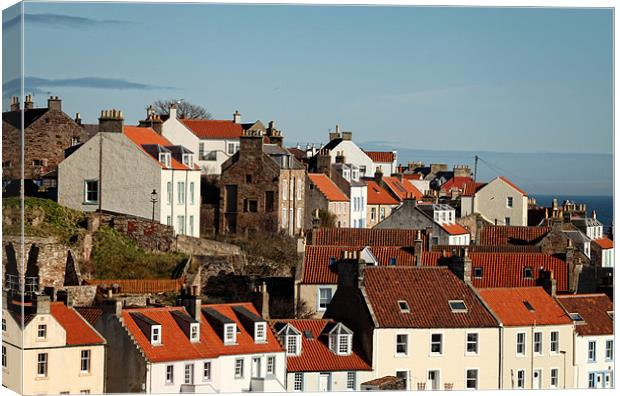 Pittenweem Roofs Canvas Print by Andrew Beveridge
