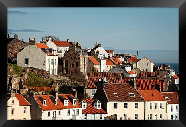 Pittenweem Roofs Framed Print by Andrew Beveridge