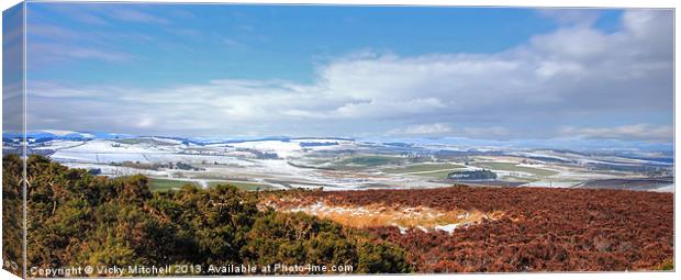 From Brimmond Hill 2 Canvas Print by Vicky Mitchell