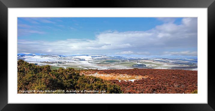 From Brimmond Hill 2 Framed Mounted Print by Vicky Mitchell