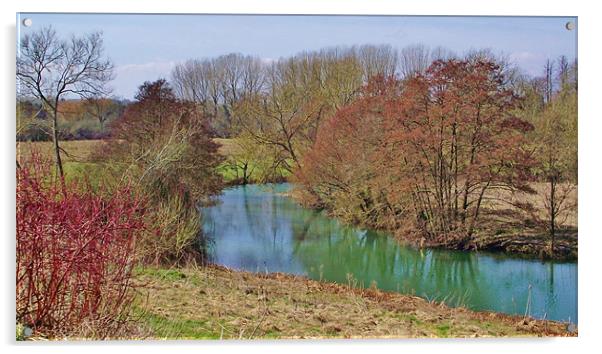 River Avon spring 2013 Acrylic by D'Arcy Barrett