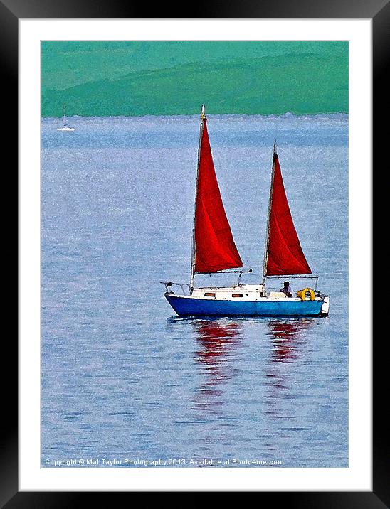 RED ON BLUE (WATERCOLOUR) Framed Mounted Print by Mal Taylor Photography