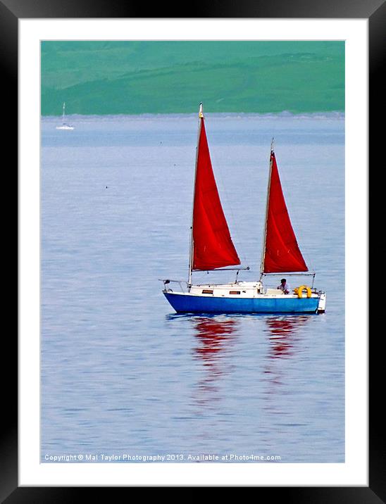 RED ON BLUE Framed Mounted Print by Mal Taylor Photography