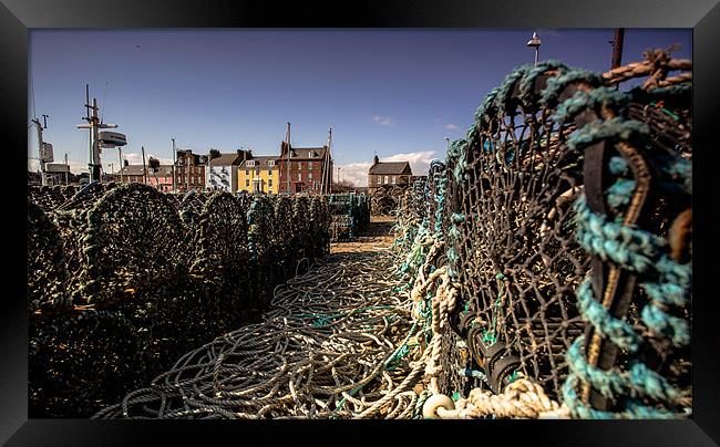 Arbroath Crab Pots Framed Print by Buster Brown
