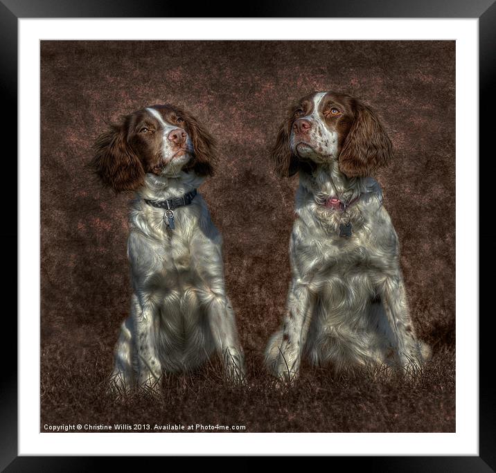 Textured Springers Framed Mounted Print by Christine Johnson