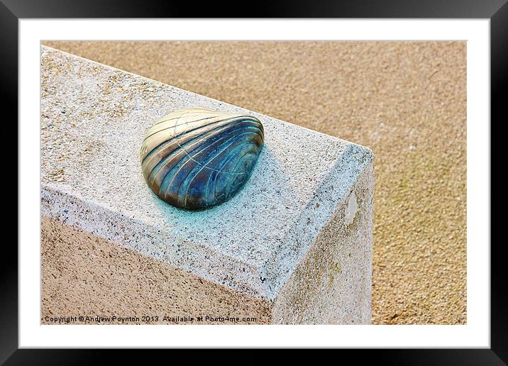 Metal Shell Framed Mounted Print by Andrew Poynton