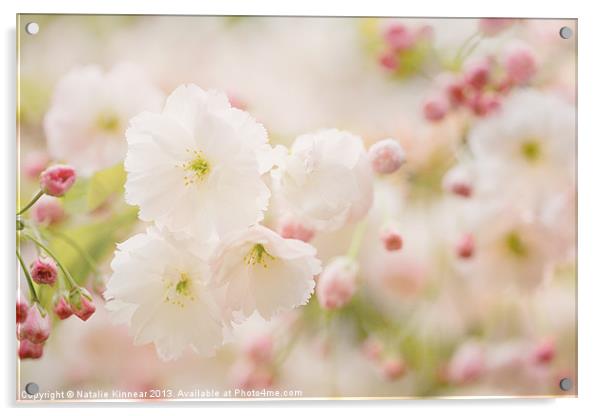 Pretty Blossom Acrylic by Natalie Kinnear