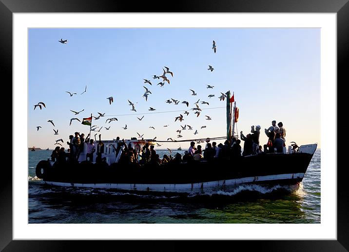 Flock of seagulls and the ferry Framed Mounted Print by Arfabita  