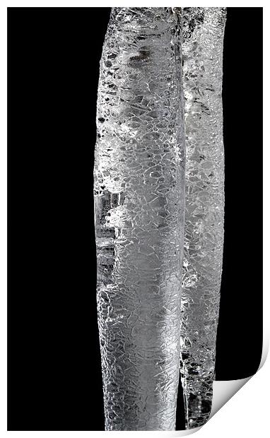 Icicle Print by Tim O'Brien