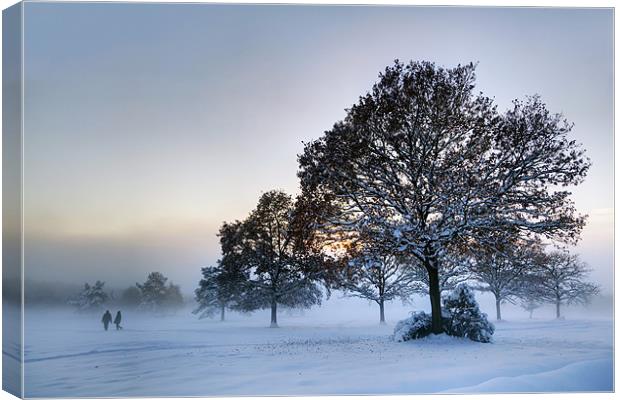 Sussex Snow Canvas Print by sam moore