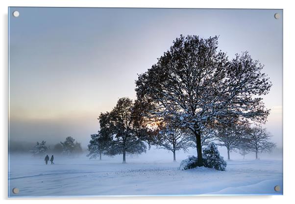 Sussex Snow Acrylic by sam moore