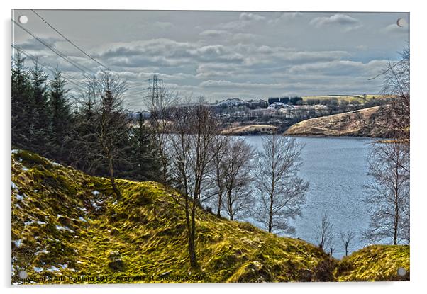 Greenbooth Reservoir Acrylic by Ade Robbins