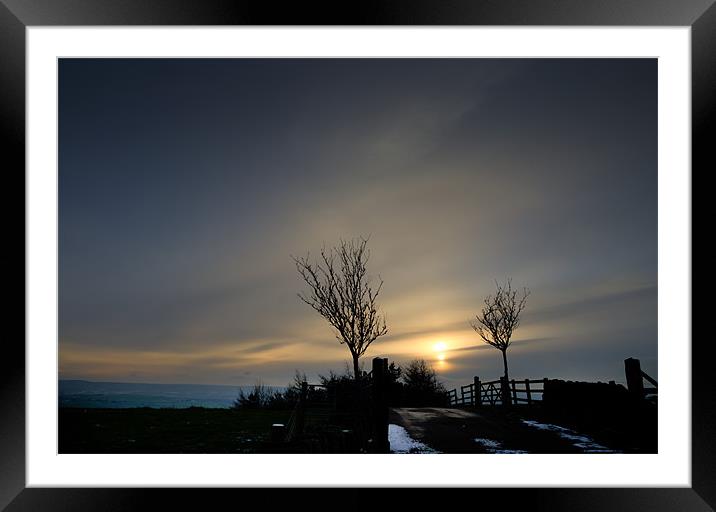 Trees at Sunset Framed Mounted Print by Philip Teale