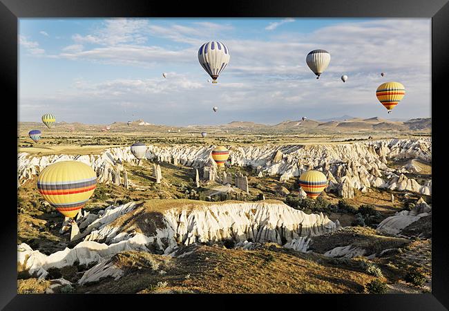 Gorgious hot air balloons Framed Print by Arfabita  
