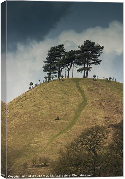 Trees on a hilltop Canvas Print by Phil Wareham
